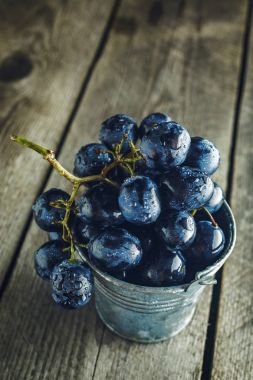 Küçük kova mavi üzüm