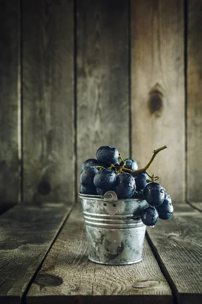 Blå druvor i liten hink — Stockfoto