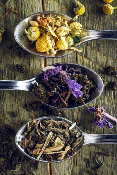 Colheres de chá de camomila, hortelã-pimenta e fireweed — Fotografia de Stock