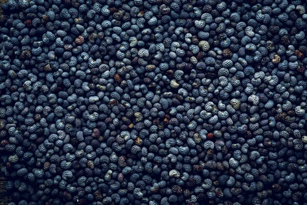 Poppy seeds macro Background — Stock Photo, Image