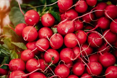 Çiftçi pazarında turp.