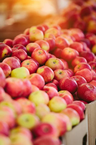 Fresh Apples at Farmers\' market