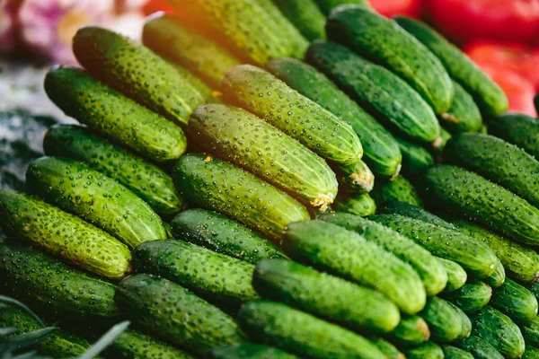 Montón Pepinos Mercado Los Agricultores —  Fotos de Stock