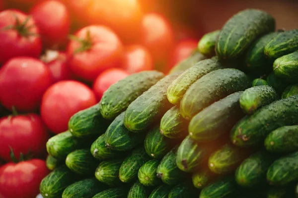 Hromada Okurek Rajčat Farmářském Trhu — Stock fotografie