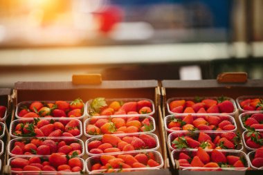 Çiftçi pazarında çilek