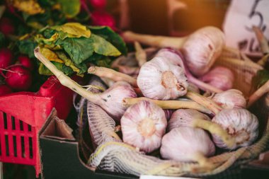 Çiftçi pazarında sarımsak