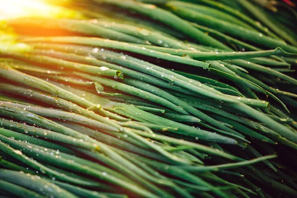 Cebolas Verdes Alho Porro Mercado Dos Agricultores — Fotografia de Stock