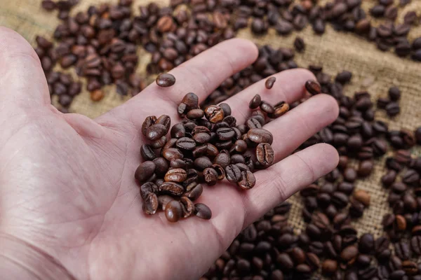 Granos de café en heand con fondo borroso — Foto de Stock