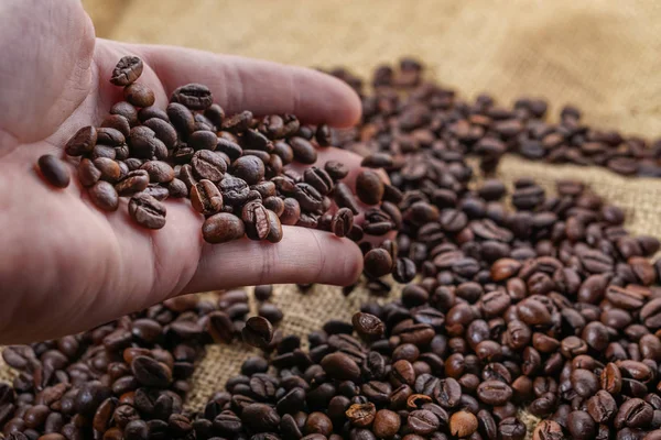 Granos de café en heand con fondo borroso — Foto de Stock