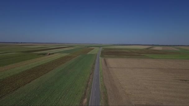 Strada in mezzo ai campi agricoli — Video Stock