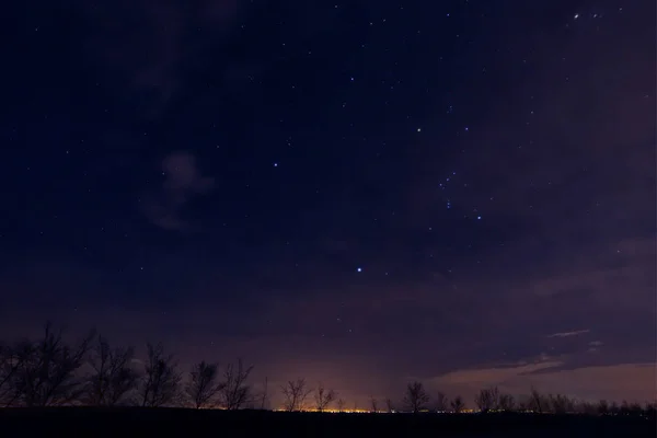 Night sky with stars. Silhouete of trees on night sky
