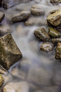 Doğanın fotoğrafı - Ormanın içinde bir dağ taşlı derenin uzun pozu. Küçük dağlık kayalık nehir.