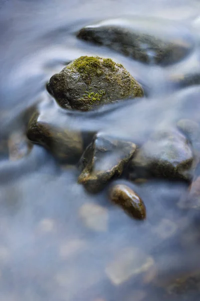 Close up of stone in river with green overgrowth. Long exposure of a mountain stony creek inside in the forest.