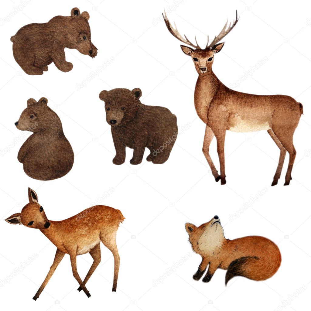 Watercolor woodland animals set