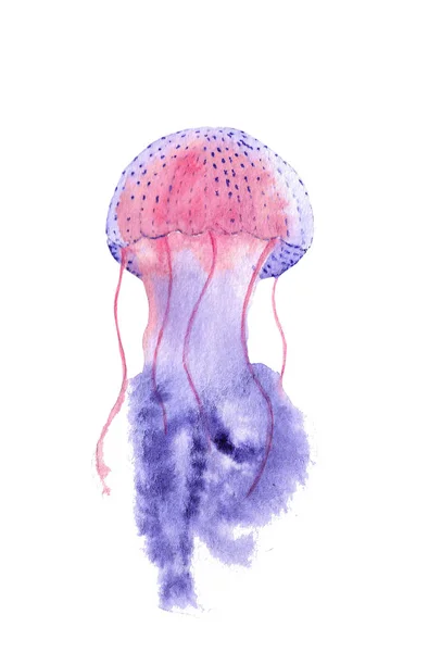 Watercolor Jellyfish White Background — Stock Photo, Image