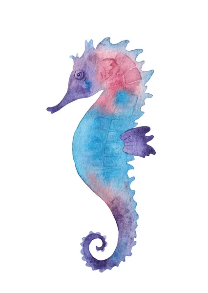 Akvarelu Seahorse Bílém Pozadí — Stock fotografie