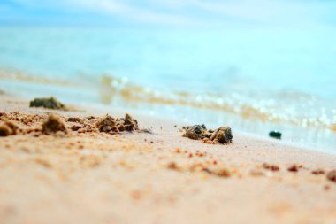 Deniz kenarında dinlenen tropikal plajların yaz arkaplanı, güneşli bir günde kumlara yakın ve bulanık turkuaz deniz.