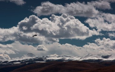 Kartal Gongga dağda (Minya Konka) Sichuan, Çin uçuyor
