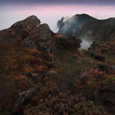 cennet sığır geri Dağı Sichuan, Çin