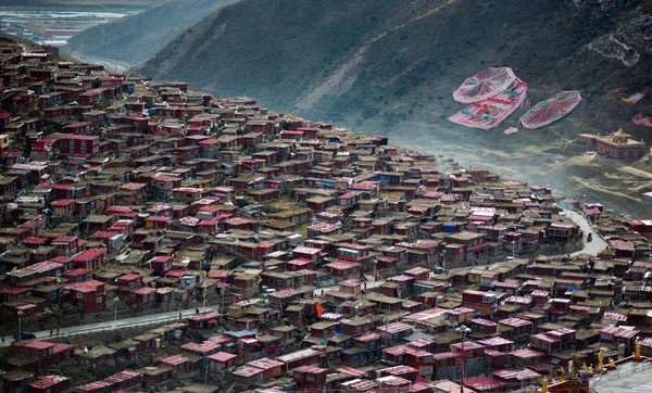 Seda Sichuan Çin Için Budist Akademi Bakan — Stok fotoğraf