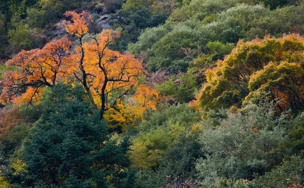 The scenery of Tibetan area in Western Sichuan, China