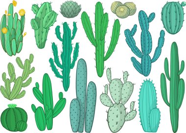 Vektör illüstrasyonunda kaktüs vektör çeşitliliği kümesi