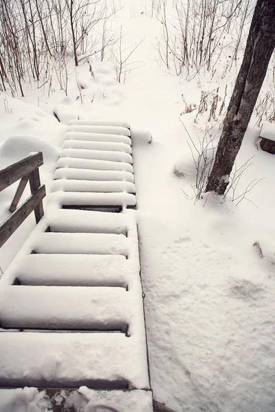 Trappor täckta med snö — Stockfoto
