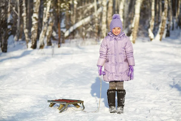 Little girl with sledge in the winter — Stock Photo, Image