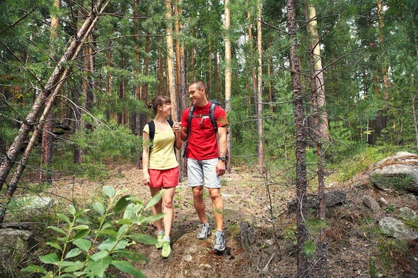 Par vandrare i skogen — Stockfoto