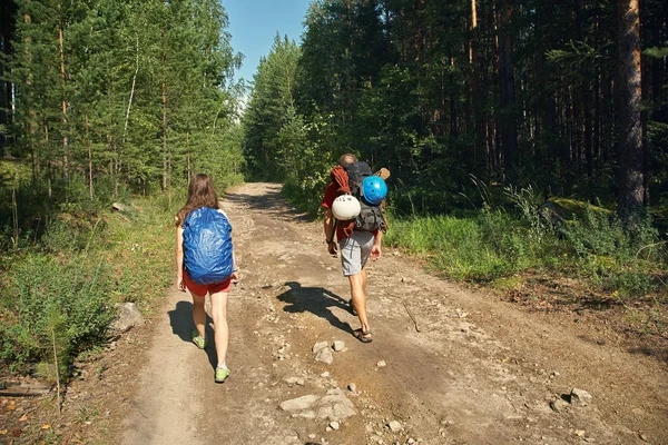 Par vandrare i skogen — Stockfoto