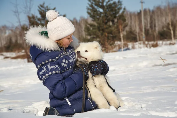 Pies rasy Samoyed Husky z dziewczyną na zewnątrz. Pies Szczeniak na spacer z jego właścicielem. — Zdjęcie stockowe