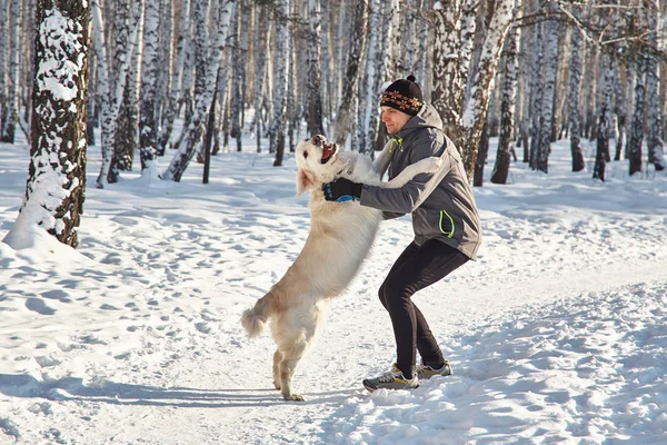 Labrador retriever hond voor een wandeling met de eigenaar man in de winter buiten doen joggen sport. — Stockfoto