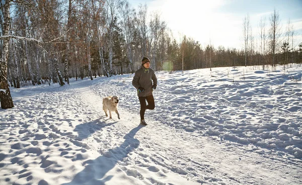 Labrador retriever hond voor een wandeling met de eigenaar man in de winter buiten doen joggen sport. — Stockfoto