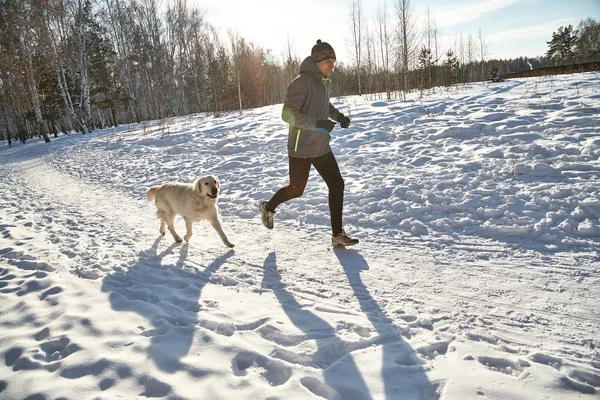 ラブラドールレトリバー犬は冬に屋外でジョギングスポーツを行う所有者と散歩のために. — ストック写真