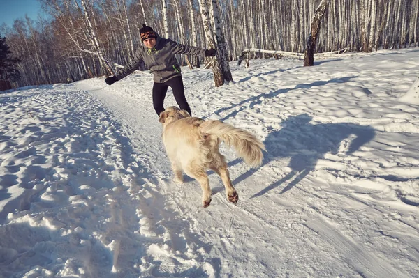 Labrador retriever hond voor een wandeling met de eigenaar man in de winter buiten doen joggen sport. — Stockfoto