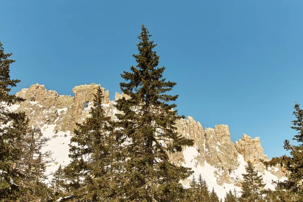 Paesaggio invernale panoramico nella foresta con montagne e abeti . — Foto Stock