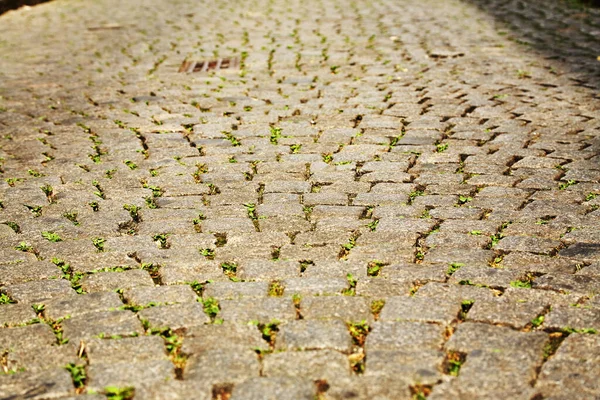 Strada lastricata di pietre da pavimentazione. Sfondo ciottoli . — Foto Stock