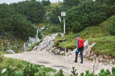 dağcı dağlarda izinde. bir adam bir sırt çantası içinde bir zammı ile.