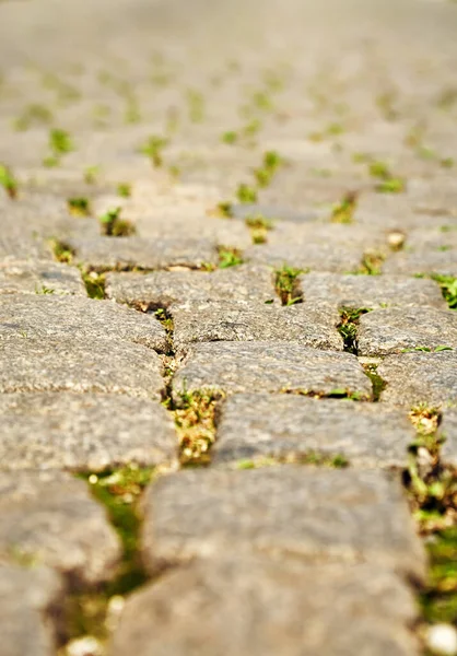 Voetpad met een groeiend gras tussen stenen. abstracte achtergrond. — Stockfoto