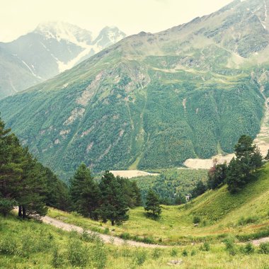 bulutlar, orman ve çim ile doğal dağ manzara.