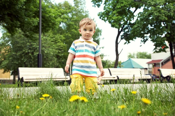 Outdoor portrait of a little boy. walking child in a summer park on the grass with yellow dandelions. — Stock Photo, Image