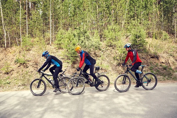 Grupo de ciclistas em uma estrada florestal — Fotografia de Stock