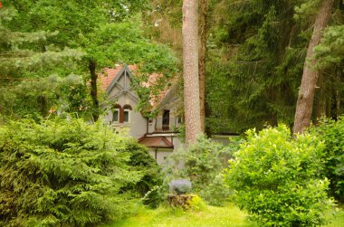     ev yeşil orman arasında                 