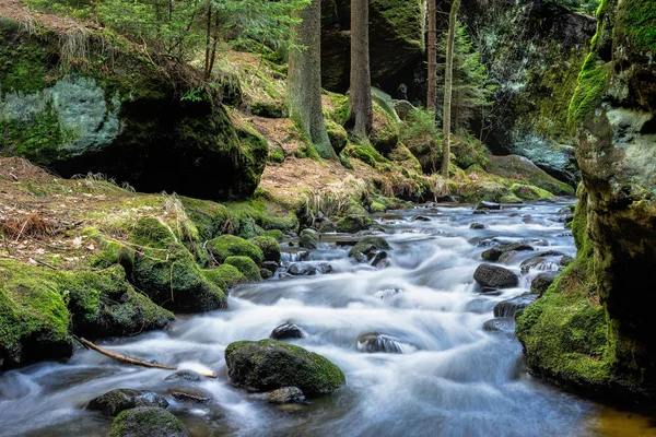 Parque nacional de Bohemia Suiza Imagen de stock