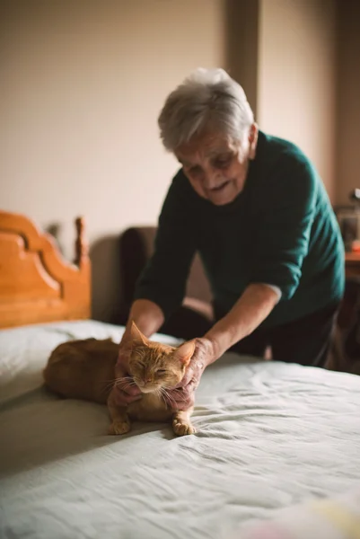 Mulher idosa acariciando seu gato na cama — Fotografia de Stock