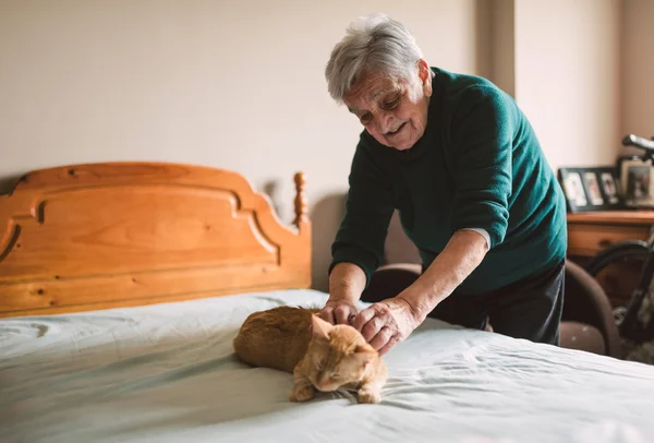 Idős asszony alsószoknya ő macska, az ágyon — Stock Fotó