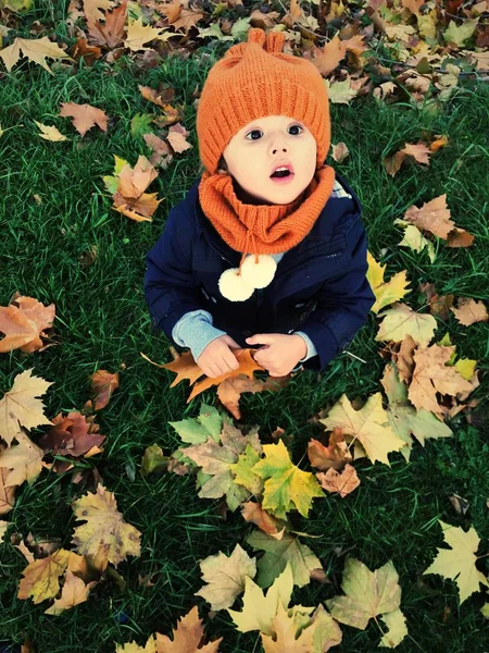 Осень и ребенок — стоковое фото