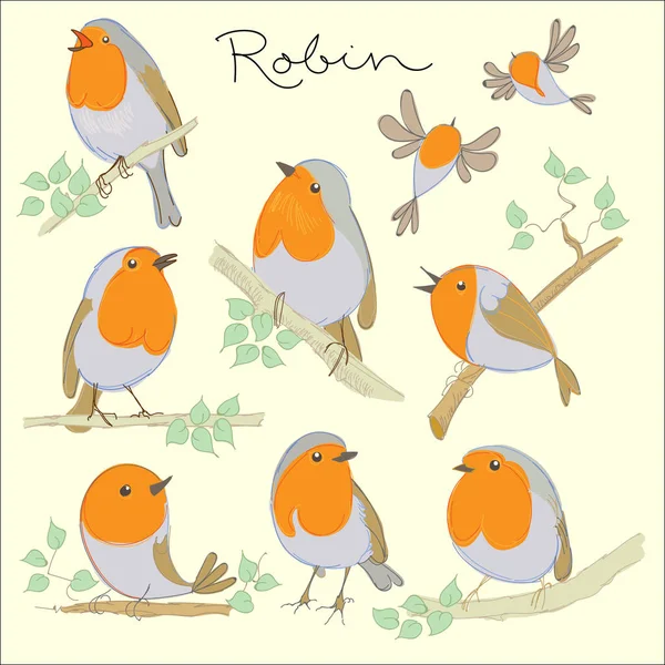 Pássaros de desenhos animados. Robin set . — Vetor de Stock