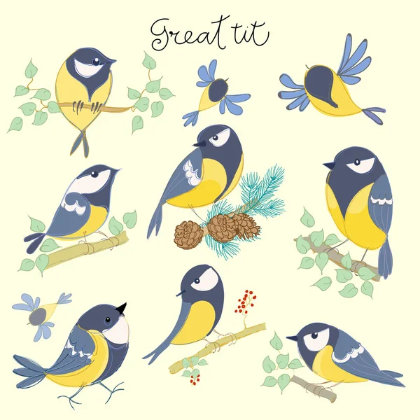 Cartoon vogels. Koolmees set. — Stockvector