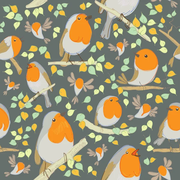 Robin pattern. Oiseaux de dessin animé — Image vectorielle